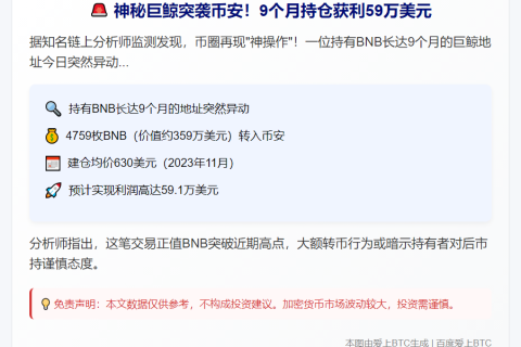 BNB 持仓9个月获利59万美元