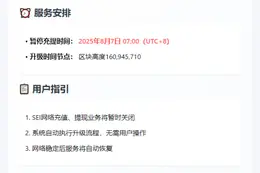 币安明早7点暂停SEI充提