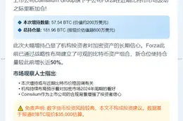 Forza增持57.54枚BTC 总持181.96枚