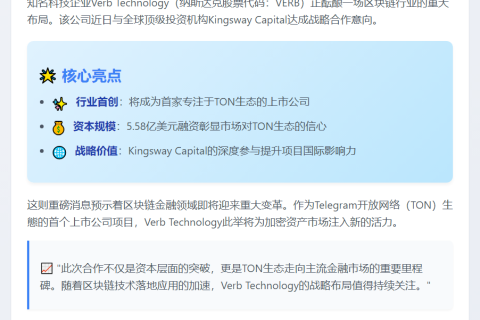 Verb科技拟募5.58亿启动TON储备
