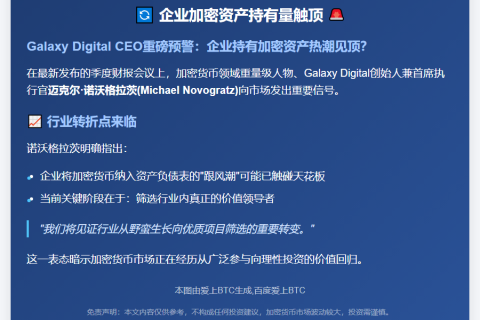企业加密资产持有量触顶