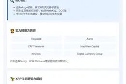 XRPfi协议Doppler融资300万美元