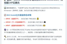 Cathie Wood旗下Ark Invest持有价值超2.67亿美元BMNR股票