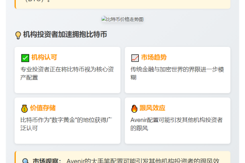 Avenir 80% 资产押注比特币