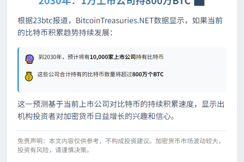 2030年：1万上市公司持800万BTC