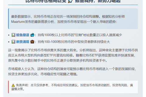 大额比特币持有地址数量增加