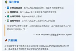 阿联酋房企接受加密货币购房