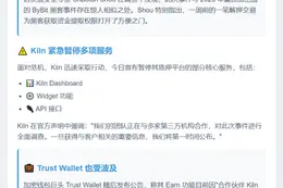 瑞士CEO指责Kiln致4100万损失