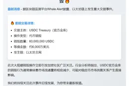 USDC 销毁 6000 万枚