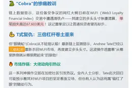 Andrew Tate重仓WLFI亏损6.7万后再买入