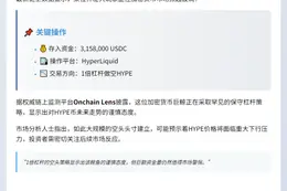 巨鲸315.8万USDC做空HYPE