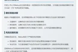 巴西 Meliuz 推比特币期权策略扩储备