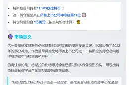 特斯拉比特币持仓全球上市公司第11位