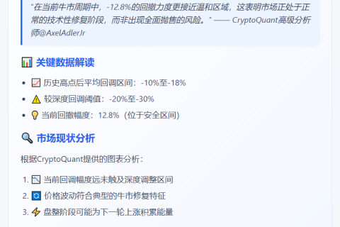 "比特币回撤12.8%属温和调整 非大举抛售"