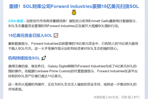 SOL财库16亿资金仅剩1亿