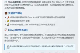 Strive收购Web3媒体MSTR True North