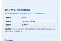 CZ对话B Strategy：50家DAT团队接洽，仅少数获支持