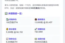 "ETH巨鲸建仓100万枚"