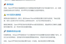 OpenVPP假称与美政府合作被SEC否认