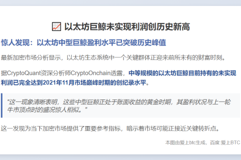 以太坊巨鲸未实现利润创历史新高