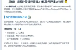 法国外贸银行获2.4亿美元比特币敞口