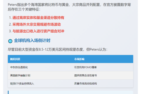 中东或暗中大举增持比特币