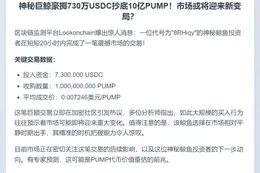 鲸鱼豪掷730万USDC狂购10亿PUMP