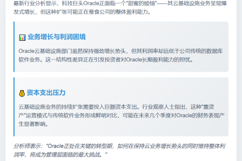 Oracle云扩张或拖累盈利