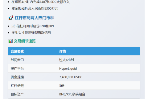 巨鲸740万USDC押注BNB和XPL