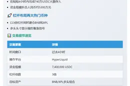 巨鲸740万USDC押注BNB和XPL