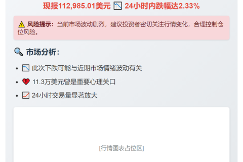 BTC跌破11.3万美元