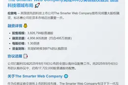 The Smarter Web完成382万股配售