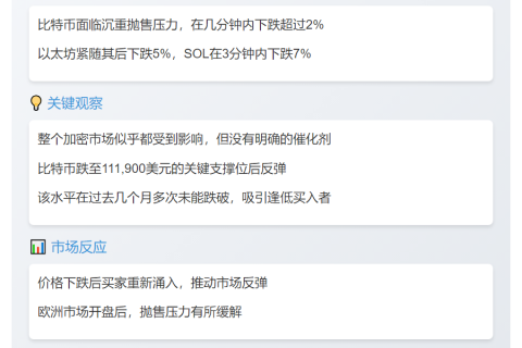 加密货币短线崩盘后反弹