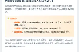 "鲸鱼注册'trumpisthebest.eth' ENS域名获利800万"