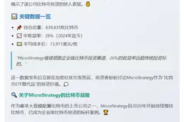 Michael Saylor：比特币今年收益26%
