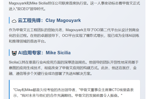 甲骨文任命两位新CEO