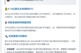 "Strive与Semler合并，持1.09万枚比特币"