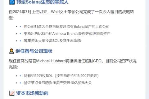 SOL CEO Leah Wald转投AI金融科技