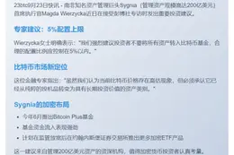南非资管：比特币配置上限5%