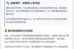 FTX高管配偶案庭审聚焦Salame认罪
