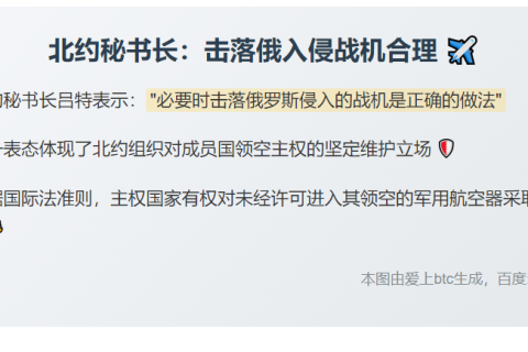 北约秘书长：击落俄入侵战机合理