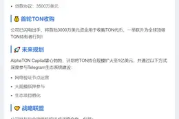 AlphaTON Capital融资7100万美元收购TON代币