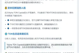 Alpha TON Capital购入3000万美元TON成最大持有方