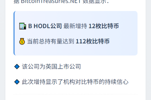 英国公司B HODL增持12枚比特币