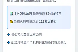 英国公司B HODL增持12枚比特币