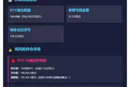 "鲸鱼被迫减仓166枚BTC 亏损22.3万美元"