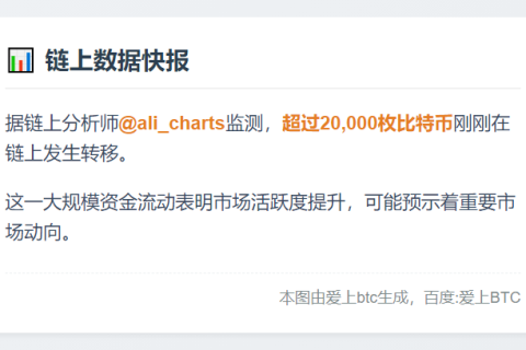 数据：超过20,000枚比特币在链上发生转移