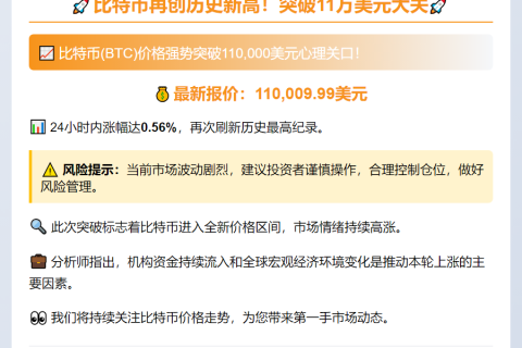 比特币突破11万美元