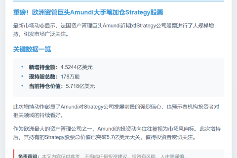 Amundi增持Strategy股票超4.5亿美元