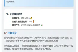 九紫新能筹550万美元，70%投加密资产